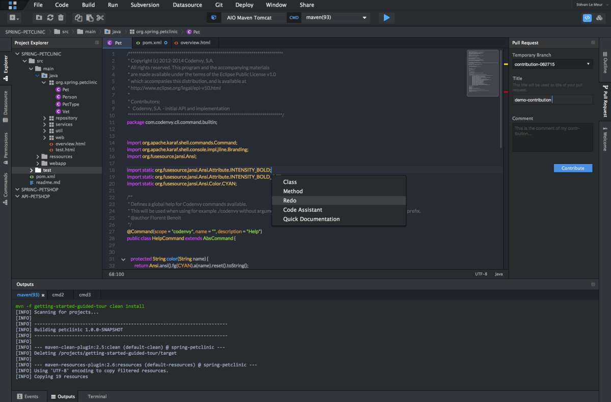 Eclipse Workbench